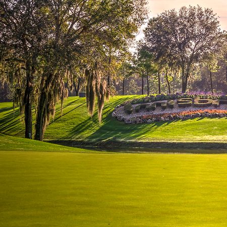Innisbrook, A Salamander Golf&Spa Resort Palm Harbor Bagian luar foto